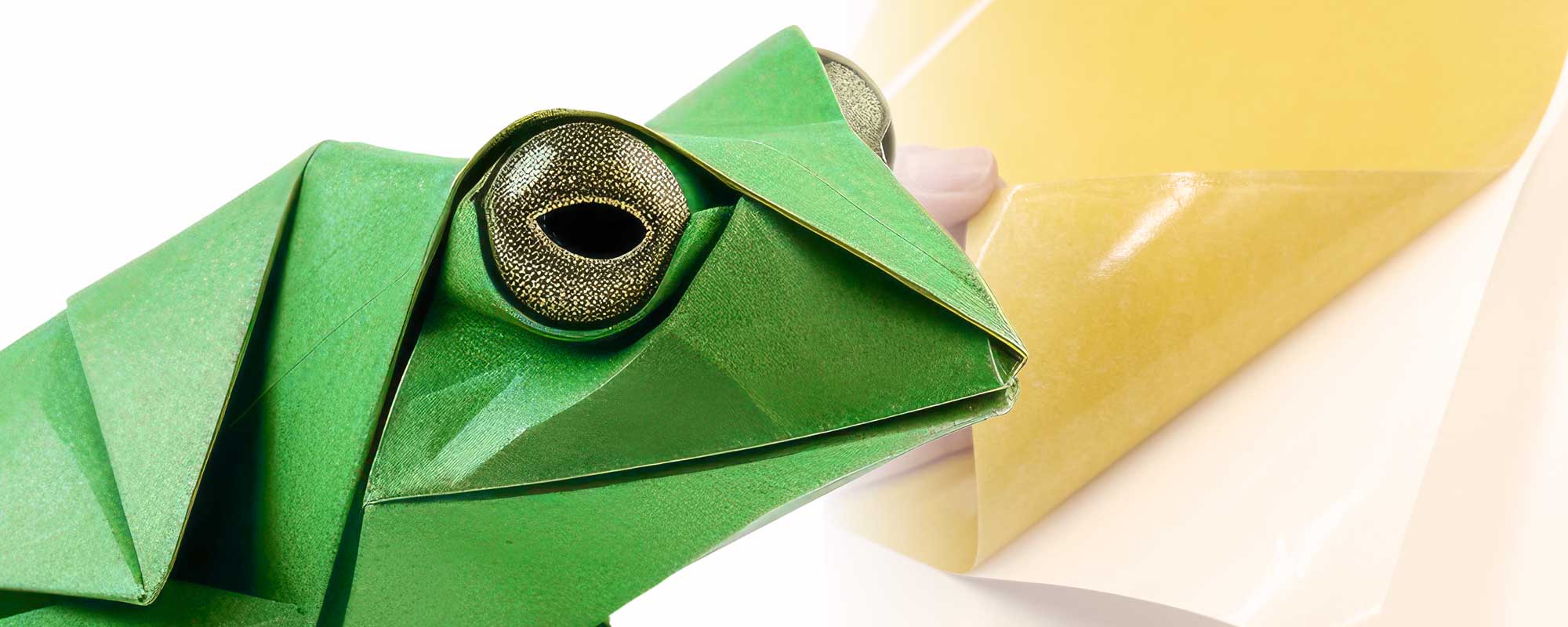 Die Froschtasche im Notizbuch Bogenware und Klebeband von FIXUM